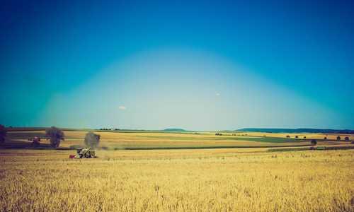 Overview of therapy services